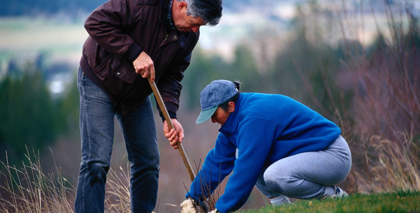 2 people digging a hole for a plant