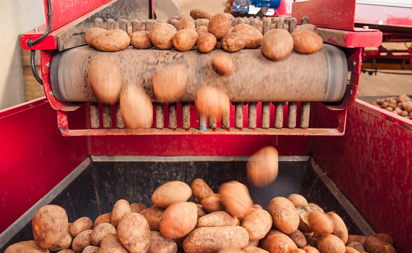 Agricultural Products Processing Machine Operator