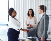Person shaking hands with interviewer
