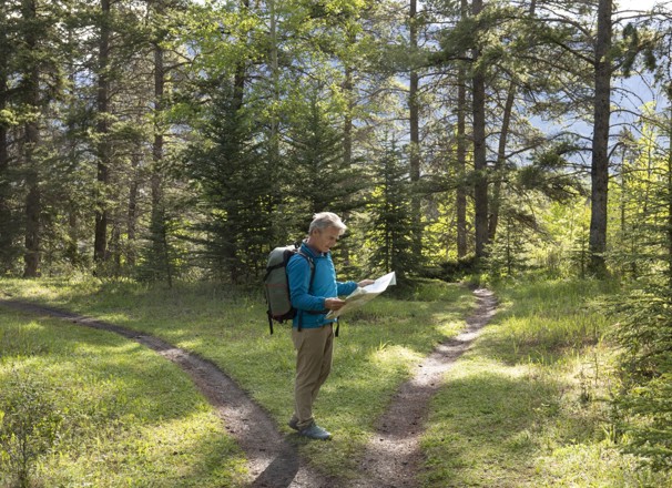 Hiker stopped at a fork in the path and looking at map. 